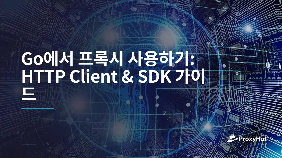 Go에서 프록시 사용하기: HTTP Client & SDK 가이드