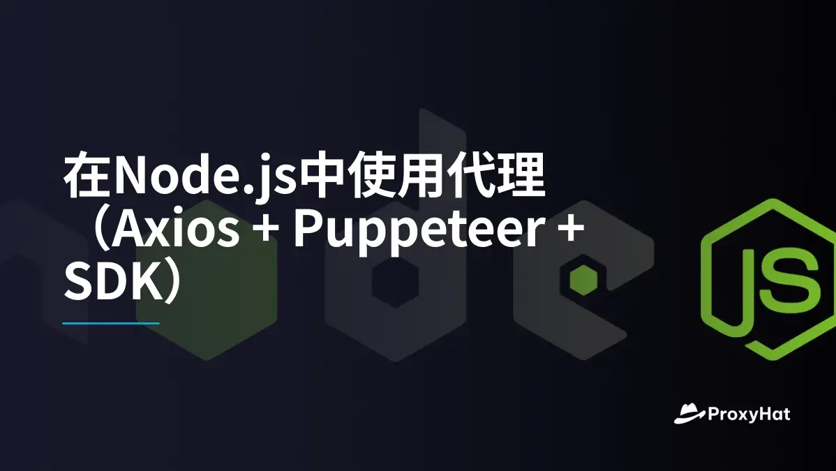 在Node.js中使用代理(Axios + Puppeteer + SDK)