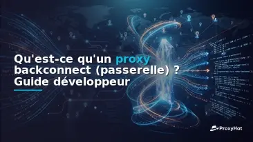 What Is a Backconnect (Gateway) Proxy? A Developer's Guide to the Single-Endpoint Model
