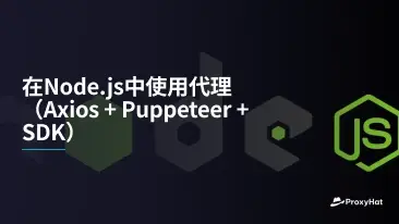 在Node.js中使用代理(Axios + Puppeteer + SDK)