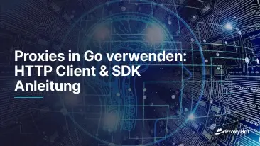 Proxies in Go verwenden: HTTP Client & SDK Anleitung