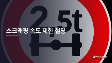 스크래핑 속도 제한 설명