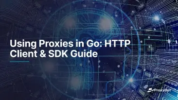 Utilizzo dei proxy in Go: Guida HTTP Client & SDK